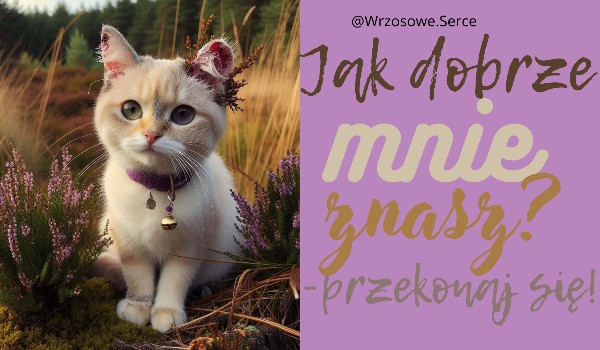 Jak dobrze Mnie znasz?