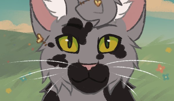 Historia Jastrzębiego Plusku. Rozdział 7