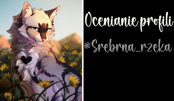 Ocenianie profili. Cześć 8 @Srebrna_rzeka