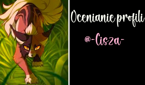 Ocenianie profili. Cześć 6 @-Cisza-