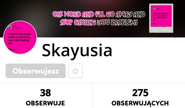 Ocenianie profilu Skayusia!