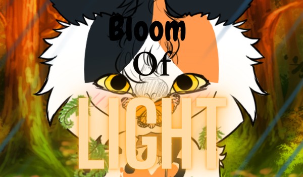 Bloom Of Light – chapter two