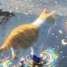 N3O