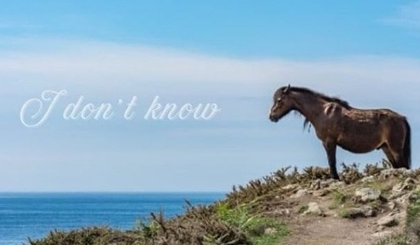 którą wyrąbistą postacią vezu jesteś