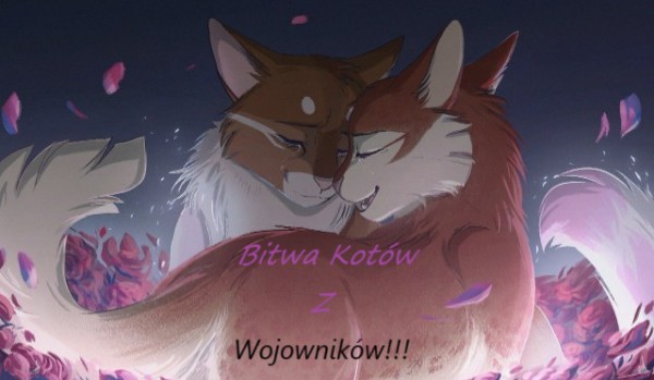 Bitwa Kotów z Wojowników!