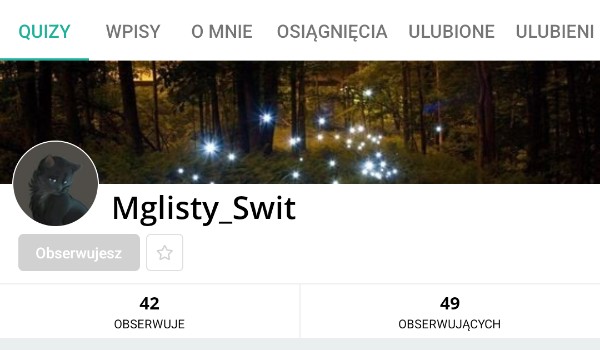 Ocenianie profil Mglisty_Swit