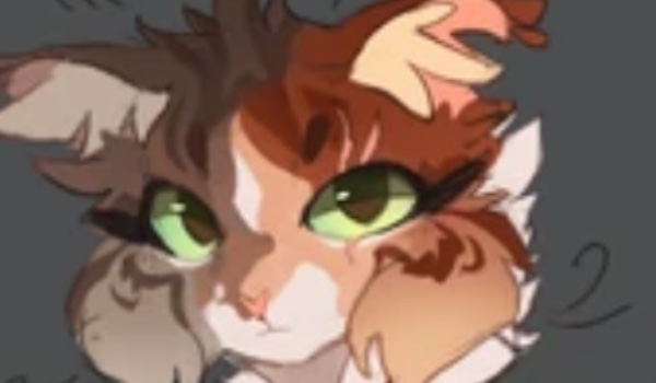 ważne!!!!!!!!!!!!!!!!!!!!!!!!!!!!!!!!!!!