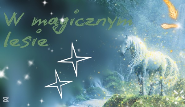 W magicznym lesie | Dzień 3