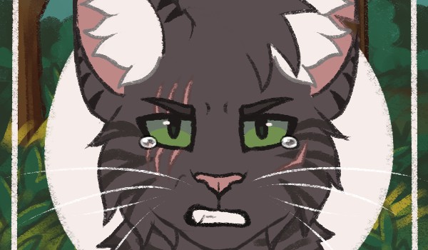 Dark cat forest *chapter nine*