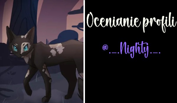 Ocenianie profili. Cześć 12 @._.Night._.