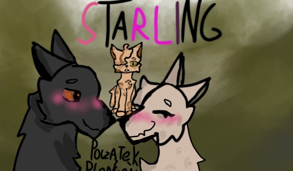 Starlight •|Początki Plemień|•☆Chapter 3