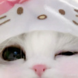 uwu_test2121