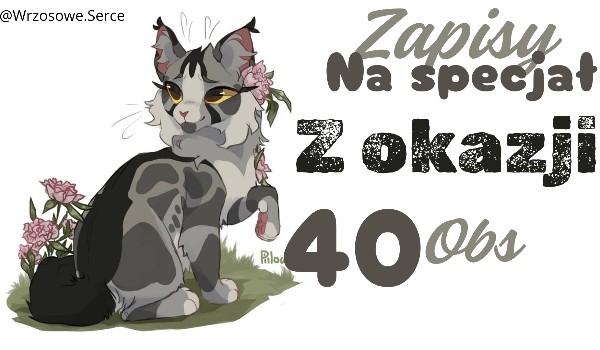 Zapisy na specjał  z okazji 40 obs!!!! (Zapisy zamknięte)