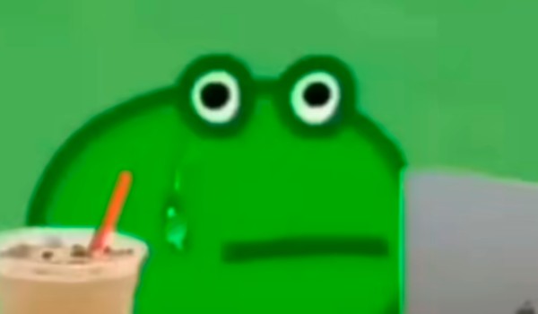 Jaką żabą jesteś