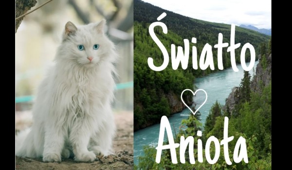 Światło anioła|rozdział piąty