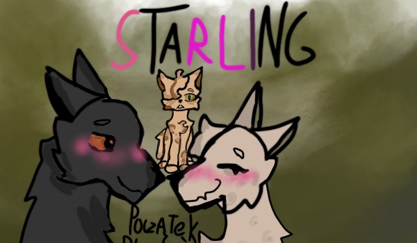 Starlight •|Początki Plemień|•☆Chapter 4