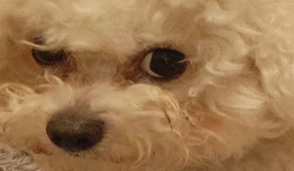 Jakim jedzeniem jesteś 2