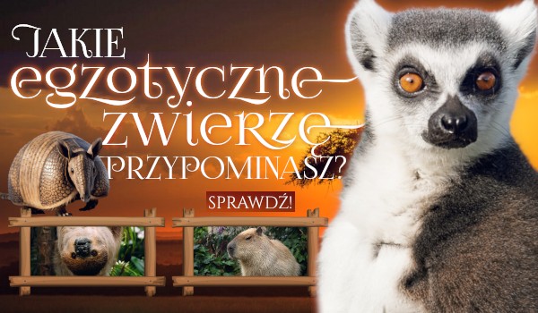 Jakie egzotyczne zwierzę przypominasz?