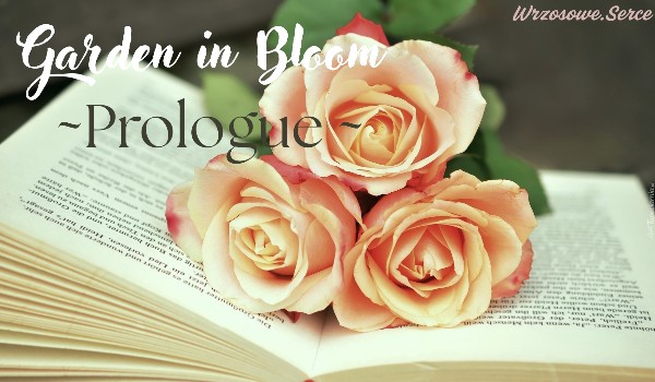 ❀~𝐺𝑎𝑟𝑑𝑒𝑛 𝑖𝑛 𝑏𝑙𝑜𝑜𝑚~❀  |prolog