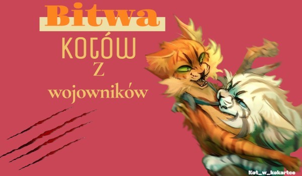 Bitwa kotów z wojowników! 4