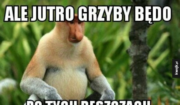 czy przetrwasz na wagarach 2