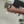RybaFn01