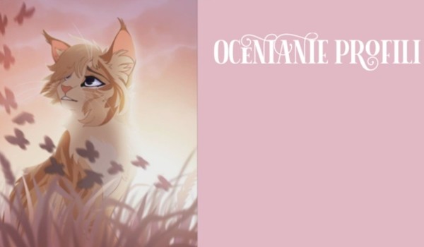 Ocenianie profili (kolejne osoby)