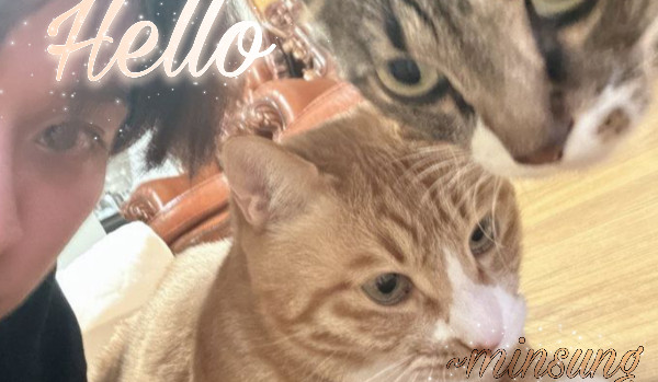 Hello|Minsung  ★4★