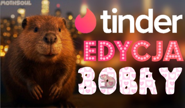 Tinder – edycja bobry!
