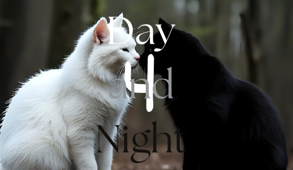 Day and Night 4