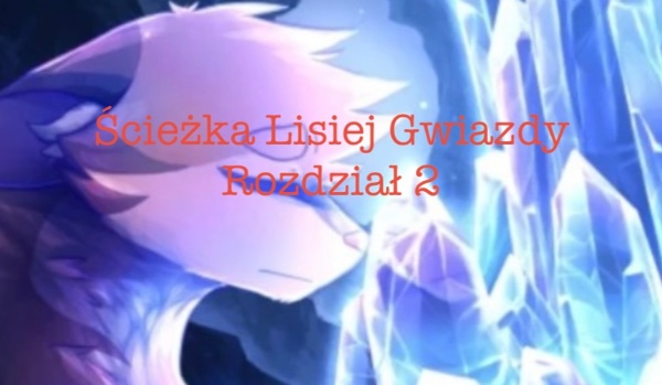 Ścieżka Lisiej Gwiazdy. Rozdział 2