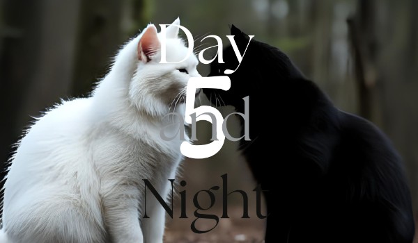 Day and Night 5