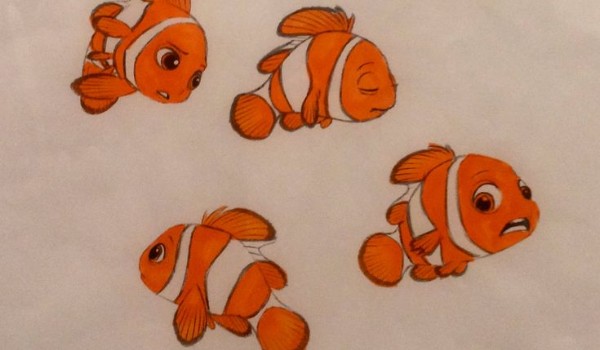 Do którego kraju musisz pojechać