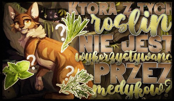Która z tych roślin NIE jest wykorzystywana przez medyków w „Wojownikach”? Test na czas!