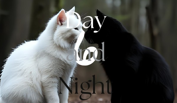 Day and Night 6