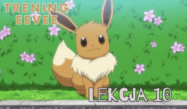 Trening Eevee: Lekcja 10
