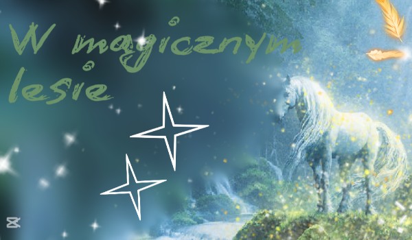 W magicznym lesie | Dzień 4