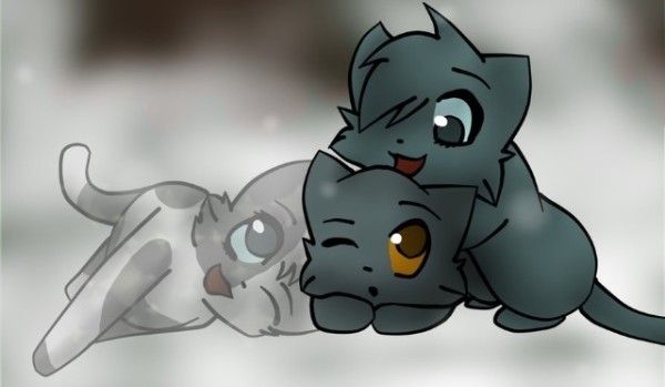 Głosowanie: Shipy z Wojowników cz.4