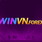 winvnforex