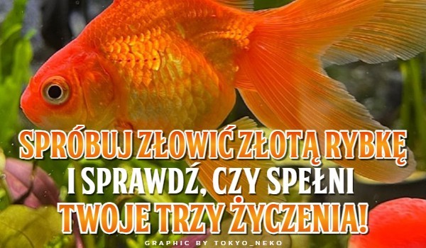 Spróbuj złowić Złotą Rybkę i sprawdź, czy spełni Twoje trzy życzenia!