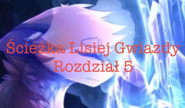 Ścieżka Lisiej Gwiazdy. Rozdział 5
