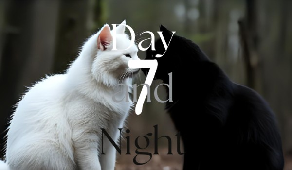 Day and Night 7