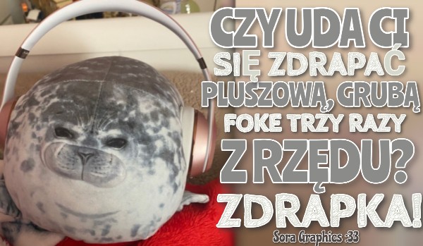 Czy uda Ci się zdrapać pluszową, grubą fokę, trzy razy z rzędu?