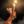 Warrior_Cats1