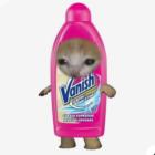 Ami_Xdf
