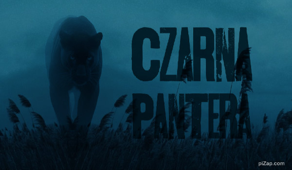 Czarna Pantera