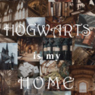 HarryPotterhed