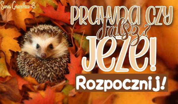 Prawda CZY Fałsz? – Jeże!