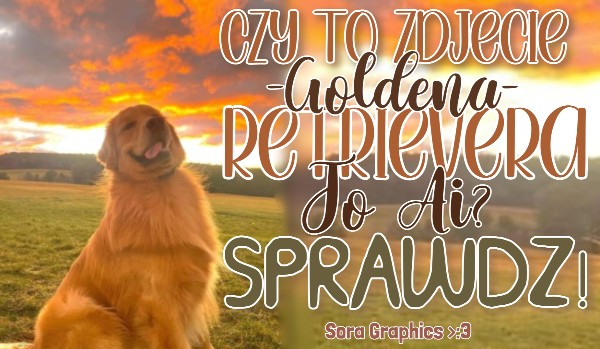 Czy to zdjęcie Goldena Retrievera to AI?