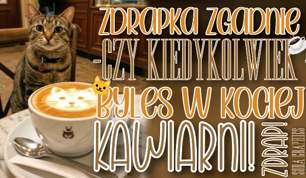 Zdrapka zgadnie, czy kiedykolwiek byłeś w kociej kawiarni!